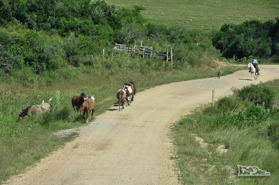 Um vaqueiro conduz seus cavalos em estrada rural na região de Villa Serrana, no Uruguai